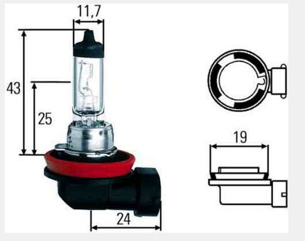 Žiarovka HELLA H11 12V 55W PGJ19-2