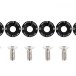 Decorative screws M8x1.25 15mm D1 Decorative screws M8x1.25 15mm D1