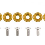 Decorative screws M8x1.25 15mm D1 Decorative screws M8x1.25 15mm D1